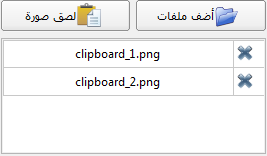  Here you can add additional files to the technical report